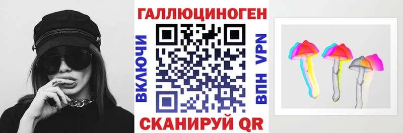 Галлюциногенные грибы Psilocybine cubensis  Карачаевск 