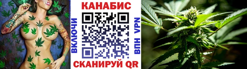 Канабис ГИДРОПОН  купить   Карачаевск 